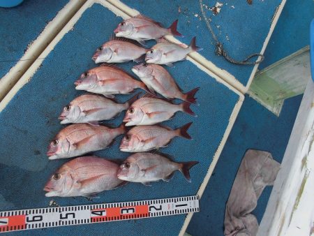 十八宝洋丸 釣果