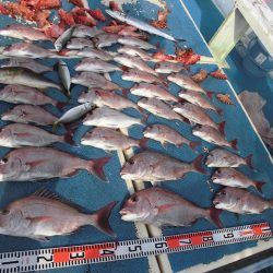 十八宝洋丸 釣果