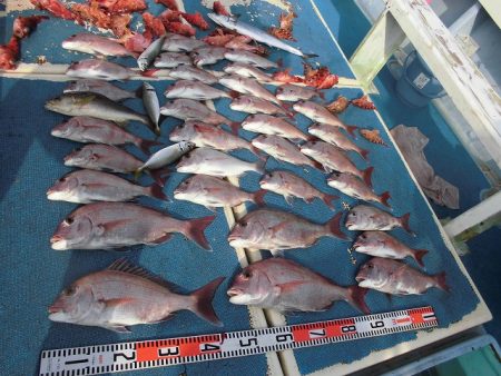 十八宝洋丸 釣果