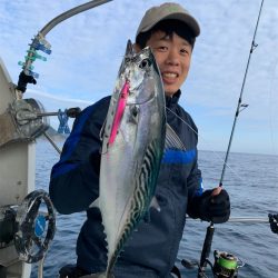 マタウマリンサービス 釣果