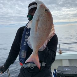 マタウマリンサービス 釣果