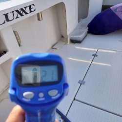 フィッシングボートACE（エース） 釣果