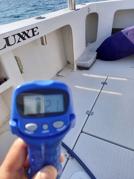 フィッシングボートACE（エース） 釣果