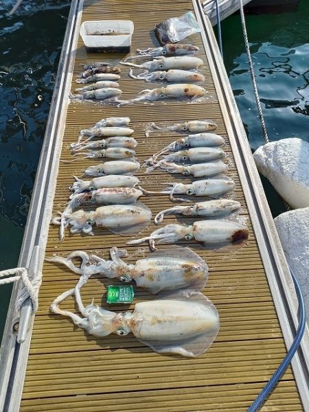 フィッシングボートACE（エース） 釣果