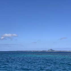 本部釣りイカダ 釣果