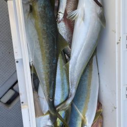 海龍丸（福岡） 釣果