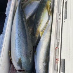 海龍丸（福岡） 釣果