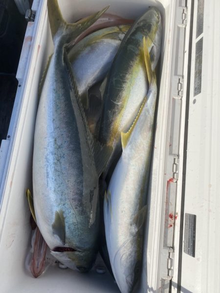 海龍丸（福岡） 釣果