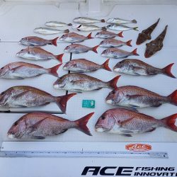 フィッシングボートACE（エース） 釣果