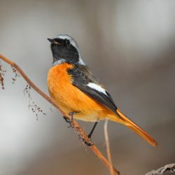 小菅トラウトガーデン 釣果