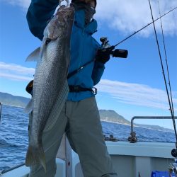 マタウマリンサービス 釣果