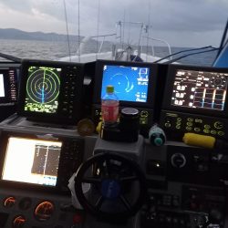 フィッシングボートACE（エース） 釣果