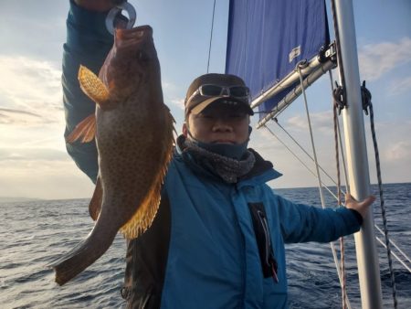 ブルーピア 釣果