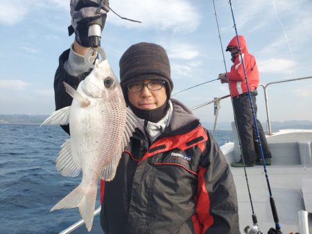 ブルーピア 釣果