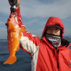 ブルーピア 釣果