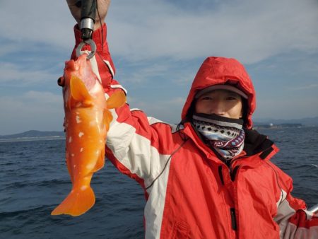 ブルーピア 釣果