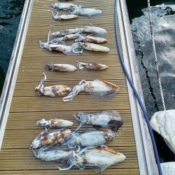 フィッシングボートACE（エース） 釣果