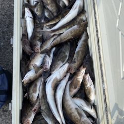 第八平成丸 釣果