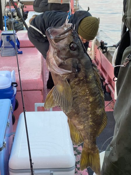 第八平成丸 釣果