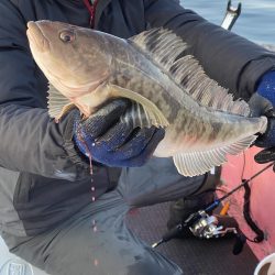 第八平成丸 釣果