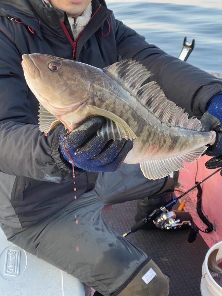 第八平成丸 釣果