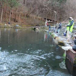 小菅トラウトガーデン 釣果