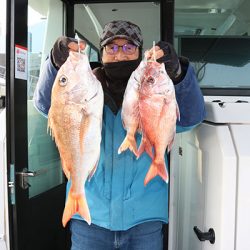 松本釣船２ 釣果