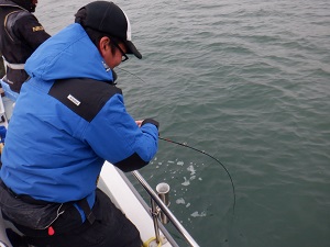 遊漁船 幸友丸 釣果