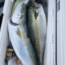 海龍丸(福岡) 釣果