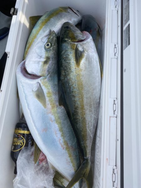 海龍丸(福岡) 釣果