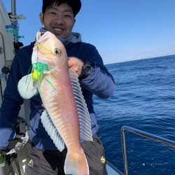 マタウマリンサービス 釣果