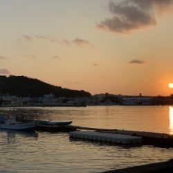 本部釣りイカダ 釣果