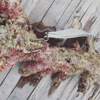 本部釣りイカダ 釣果