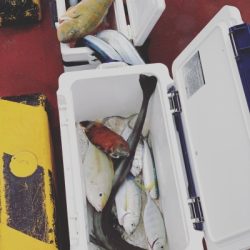 本部釣りイカダ 釣果