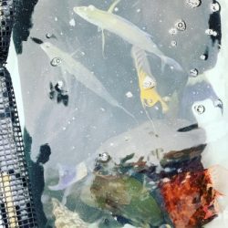 本部釣りイカダ 釣果