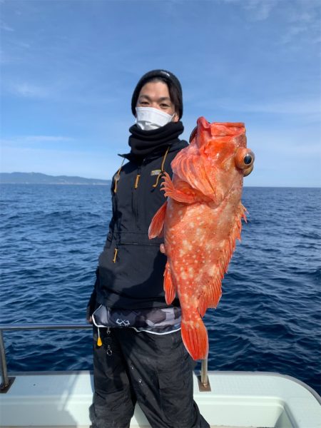 マタウマリンサービス 釣果