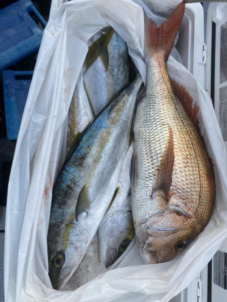 海龍丸(福岡) 釣果