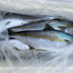 海龍丸(福岡) 釣果