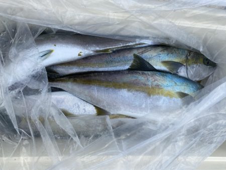 海龍丸(福岡) 釣果