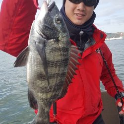 ルアー船マヒマヒ 釣果