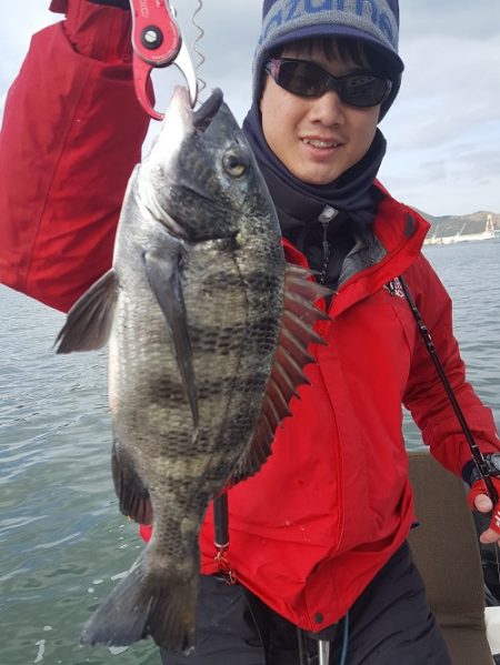 ルアー船マヒマヒ 釣果