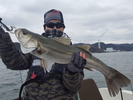 ルアー船マヒマヒ 釣果