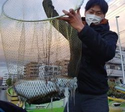 濱生丸 釣果