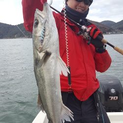 ルアー船マヒマヒ 釣果