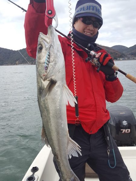 ルアー船マヒマヒ 釣果