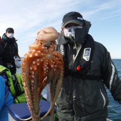 川崎丸 釣果