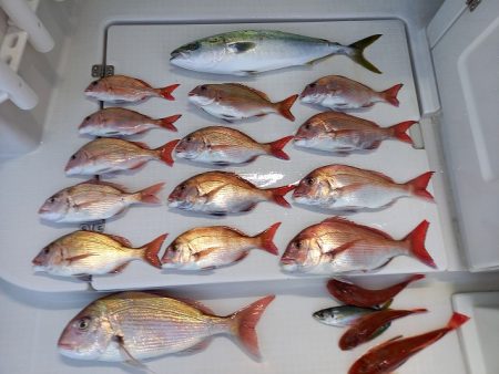 フィッシングボートACE(エース) 釣果