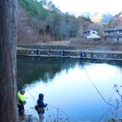 小菅トラウトガーデン 釣果