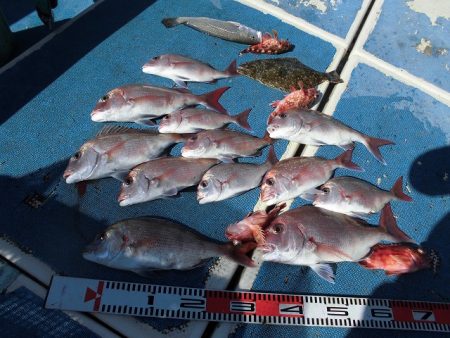 十八宝洋丸 釣果