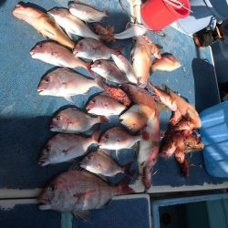 十八宝洋丸 釣果